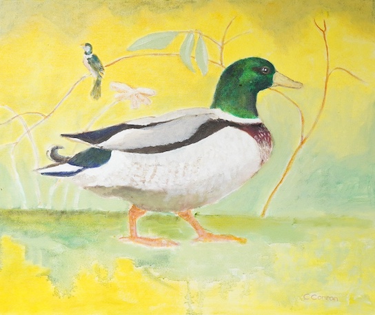 Caroline Conran (b.1939), oil on canvas, Study of a duck, signed, 50 x 59cm. Condition - good